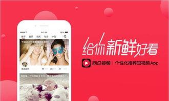 娱乐吃瓜酱视频边框,揭秘热门视频边框背后的故事