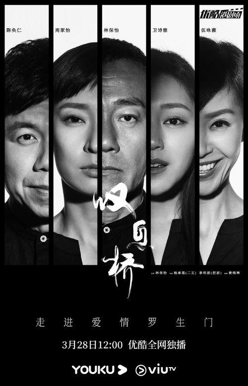 全程在线观看,揭秘虚拟观影新时代