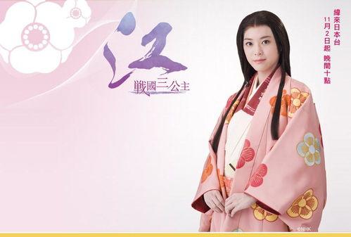 江公主的战国在线观看,战国风云，传奇再现