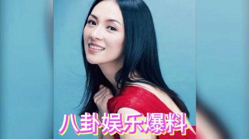 吃瓜娱乐圈雪莉,娱乐圈的瓜田传奇