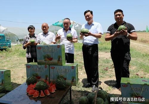 朱百万夫妇娱乐吃瓜,揭秘娱乐圈背后的甜蜜与苦涩