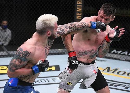 ufc在线观看2020,在线观看指南与精彩回顾