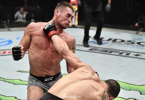 ufc在线观看2020,在线观看指南与精彩回顾