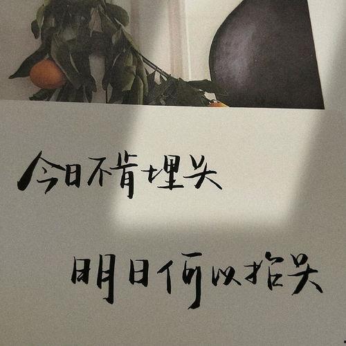 吃瓜娱乐文案句子大全,吃瓜娱乐文案句子大盘点