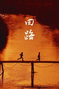 回路在线观看,在线观看之旅