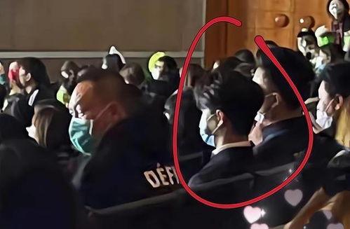 坐台 在线观看,揭秘网络直播背后的真实人生