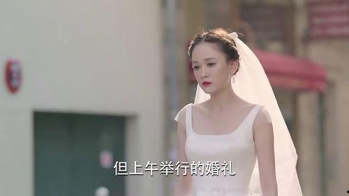 心灰在线播放观看,情感纠葛的治愈之旅