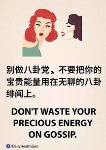 道理在线观看,轻松提升内容创作效率与质量