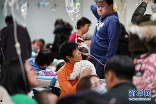 流感高清在线观看,揭秘病毒肆虐下的生死较量