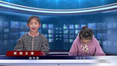 最新新闻视频在线观看,最新动态一网打尽