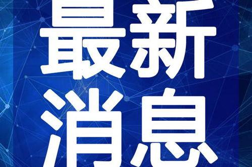 最新新闻视频在线观看,最新动态一网打尽