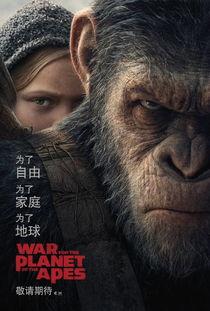猩球崛起免费在线观看,免费在线观影之旅