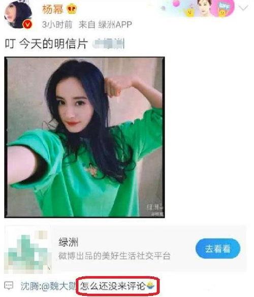 吃瓜八卦娱乐圈杨幂,瓜田李下，揭秘明星背后的故事