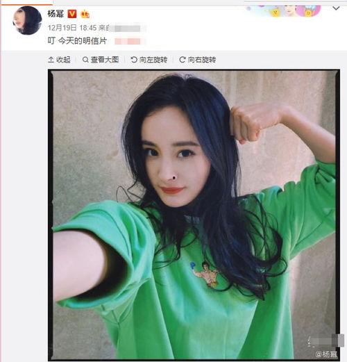 吃瓜八卦娱乐圈杨幂,瓜田李下，揭秘明星背后的故事