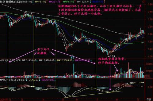 例外》在线观看