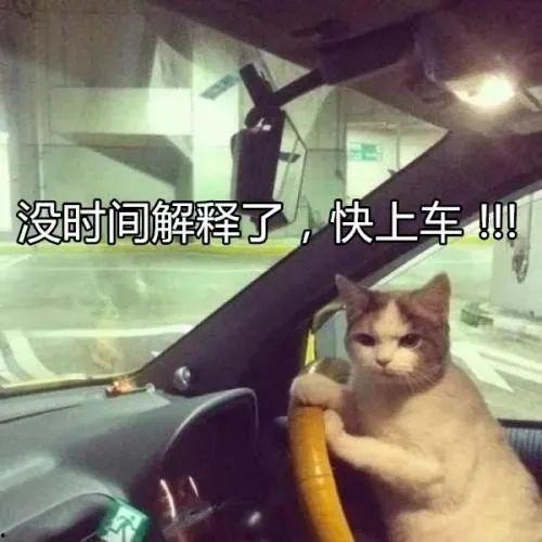 老司机视频在线观看