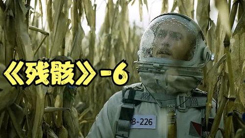 残骸 电影在线观看,揭秘电影背后的惊心动魄