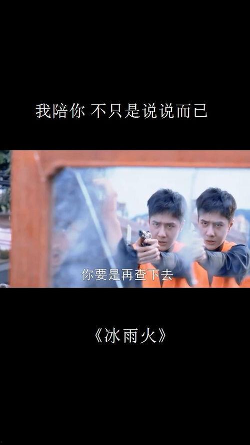 陪我在线观看,探索光影世界的奇妙旅程