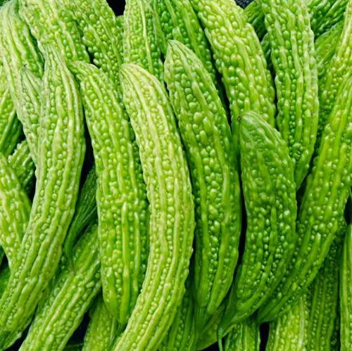 适合娱乐吃瓜的头像,吃瓜群众必备头像大集合