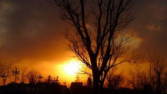 天欲电影在线观看,揭秘热门影视作品的魅力所在