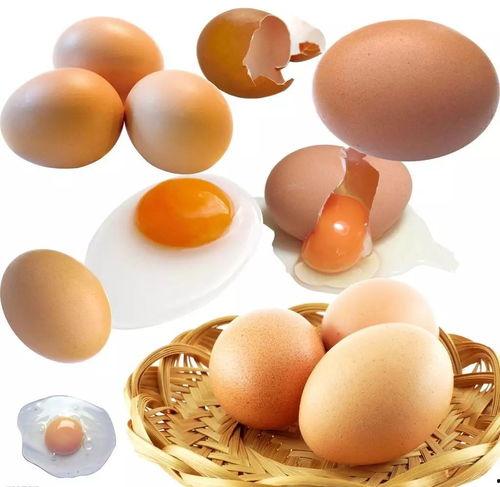 吃瓜娱乐圈蛋团,蛋团带你揭秘幕后真相