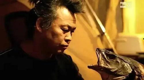 网 金基德在线观看,探索电影艺术的深度与广度