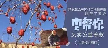 第一次的奉献在线观看,在线观看之旅