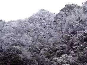 《雪海》在线观看,探寻神秘雪域的奇幻之旅