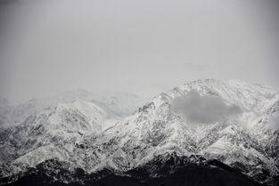 雪山 在线观看,在线观看，探索神秘雪域秘境