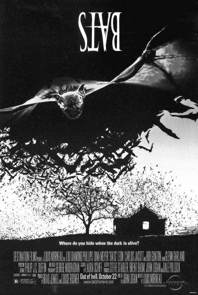 美国电影蝙蝠在线观看,黑暗之夜，在线惊悚揭幕