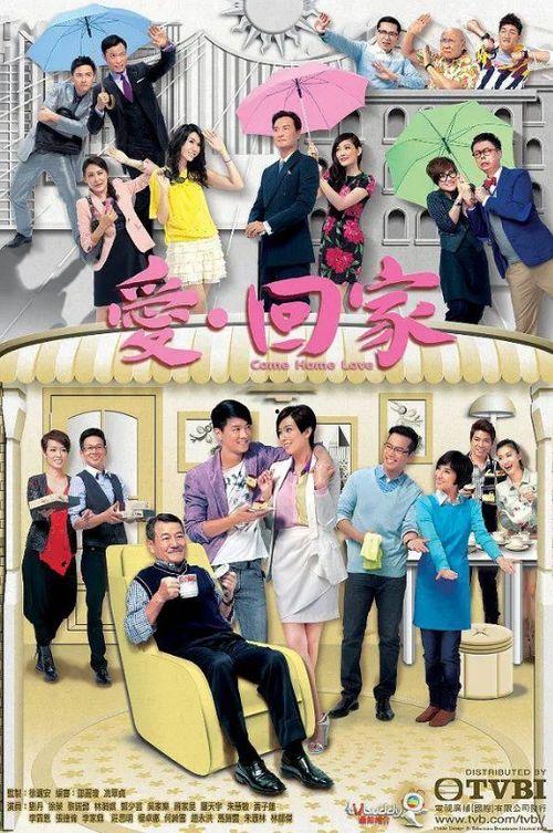 爱回家电视剧在线观看,重温经典家庭剧，共度温馨时光
